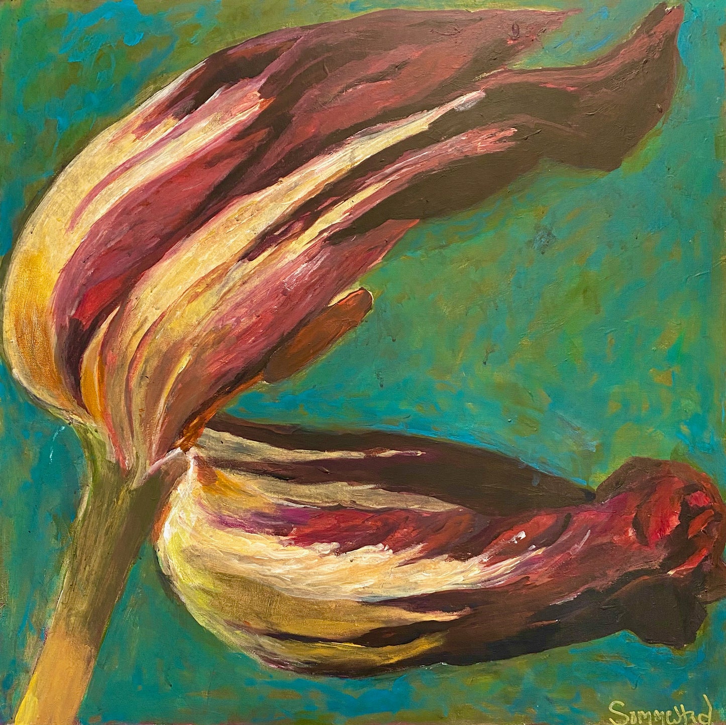 Ulrika Sommestad - Purple tulip, acrylic on canvas