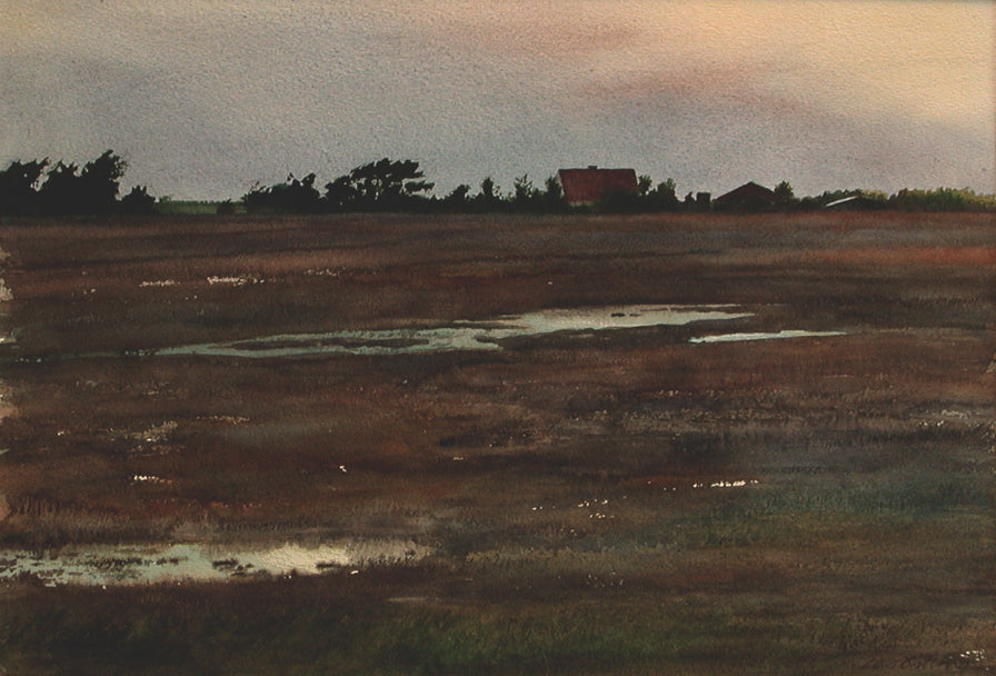 Lars Östling - Moorland (Hedmark), watercolor