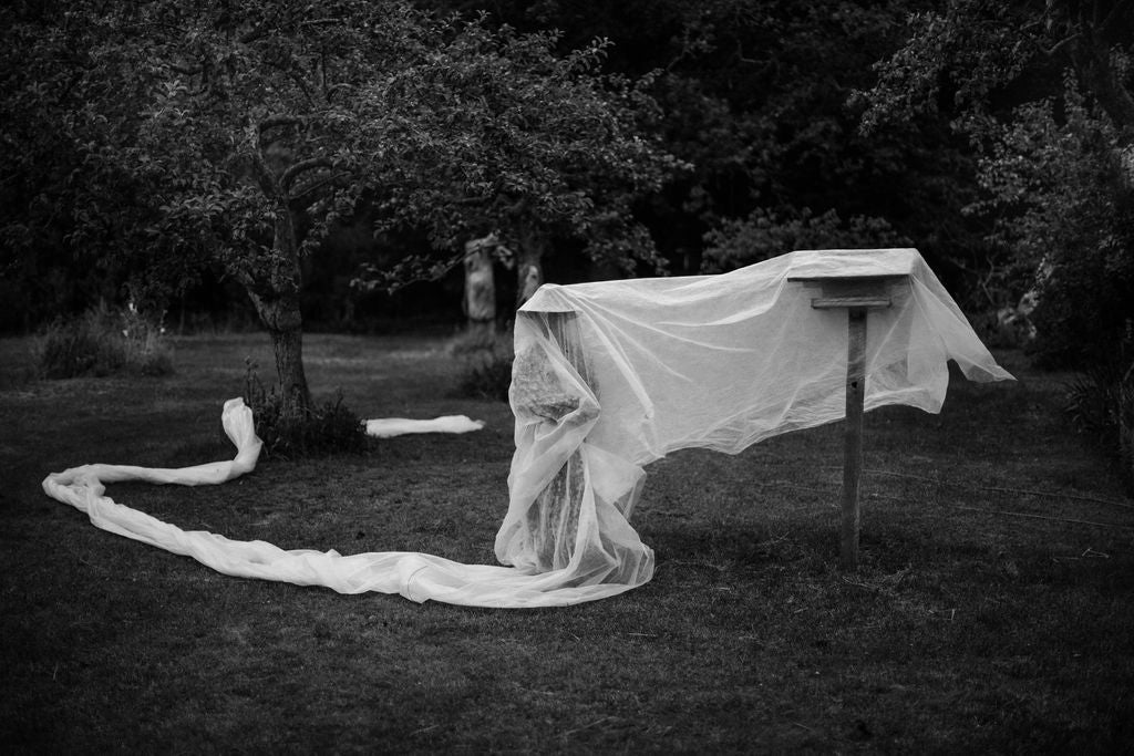 Jessica Lindgren Wu, Train ends here, Art photo