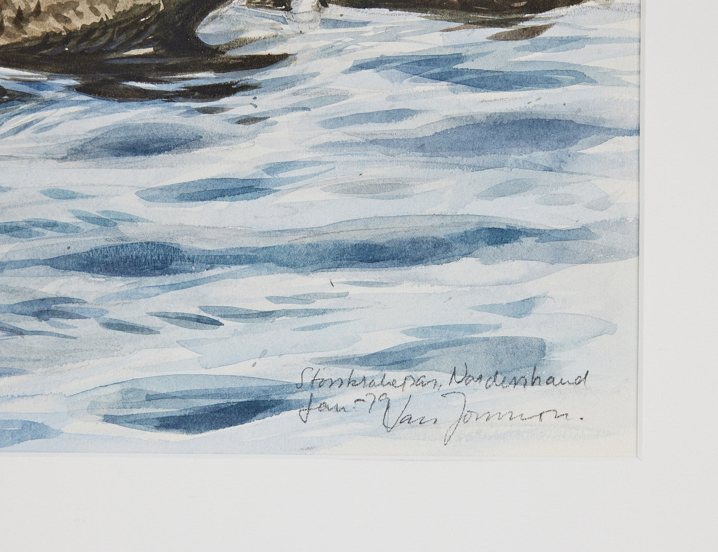 Lars Jonsson - Storskrakar (Goosanders), watercolor