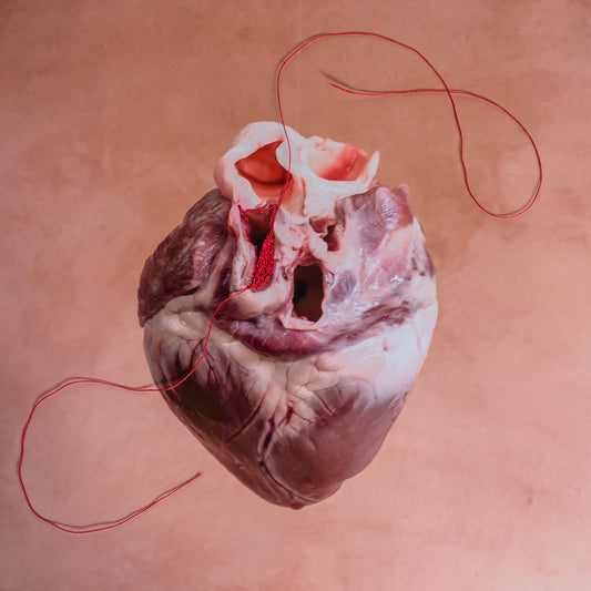 Jessica Lindgren Wu - Heart string, art photo
