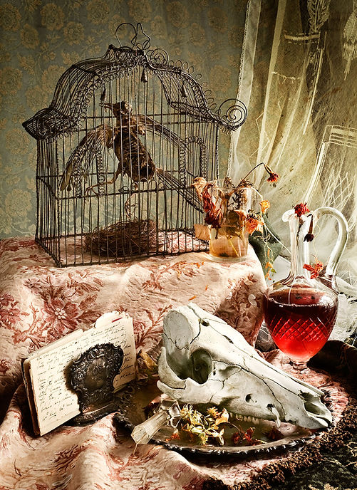 Anna Sundström - Inte vill jag tvinga dig att älska mig, fine art print
